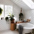 The 10 Best Indoor Plants for Your Bathroom