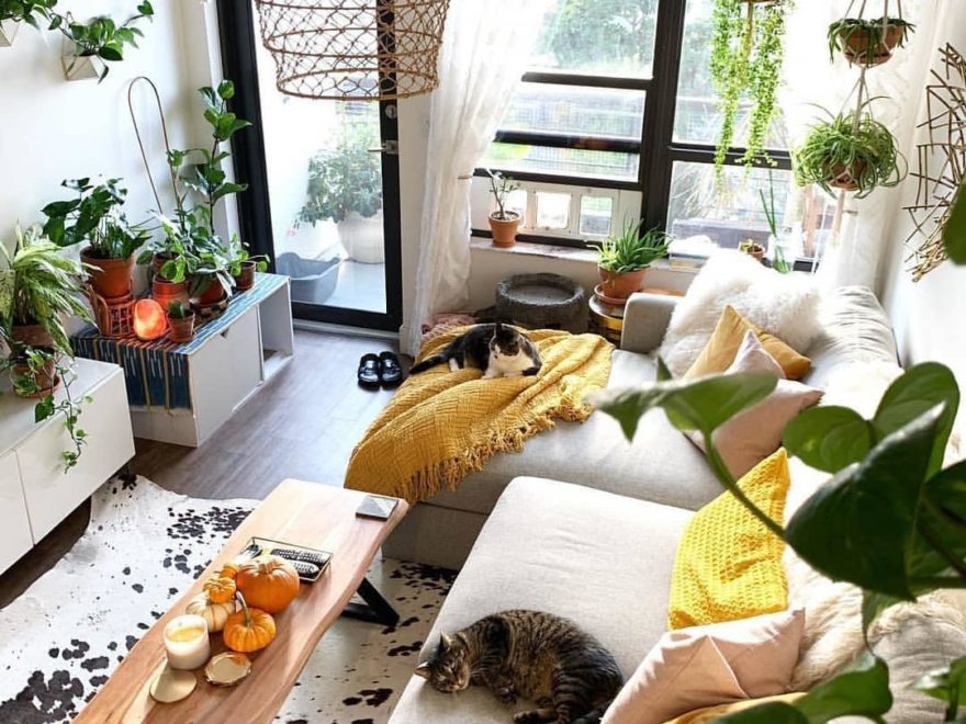 boho living room with easy care indoor plants