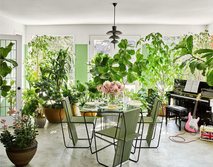 many indoor plants in Brigette Romanek's home