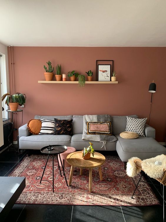 Clay and light grey living room color scheme idea