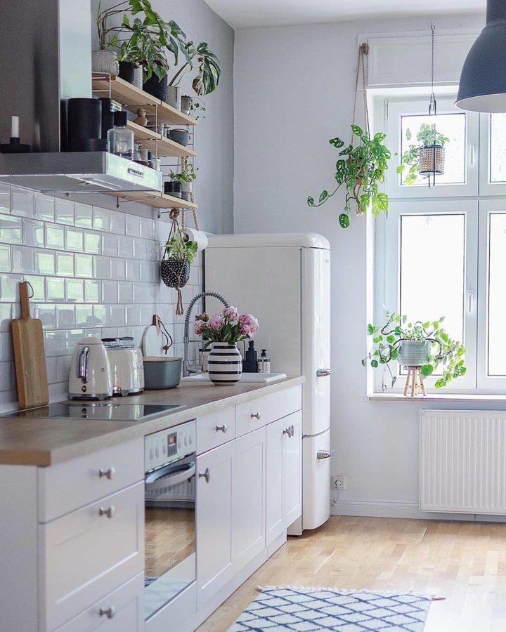 simple white kitchen with wood floor hanging plants and cream smeg fridge and appliances