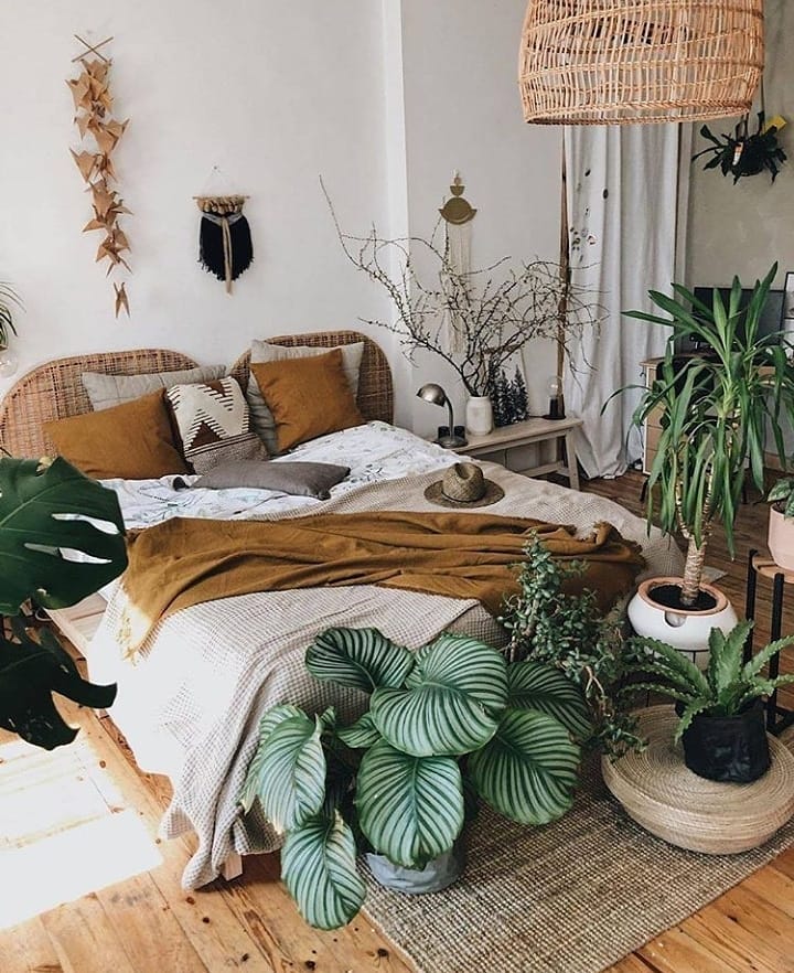 bedroom-with-Chinese-indoor-plants