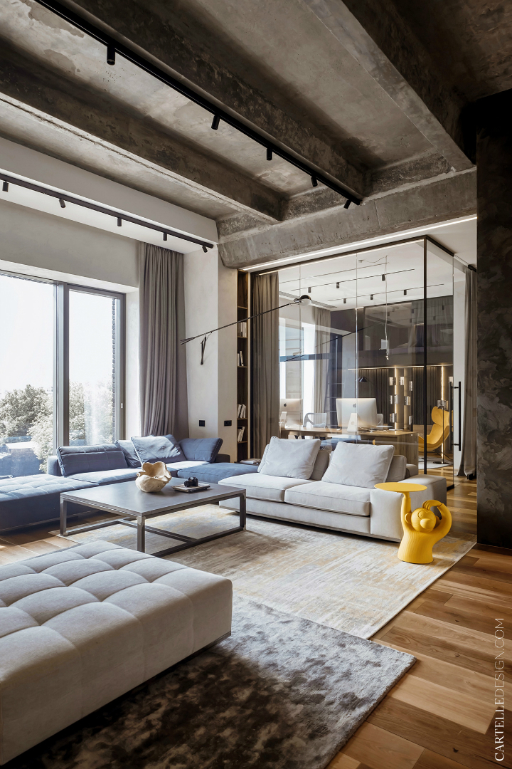 Contemporary-Loft-Style-Apartment-3