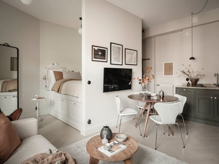 small-Scandinavian-Studio-Apartment-2