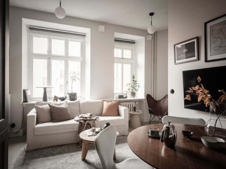 small-Scandinavian-Studio-Apartment-4