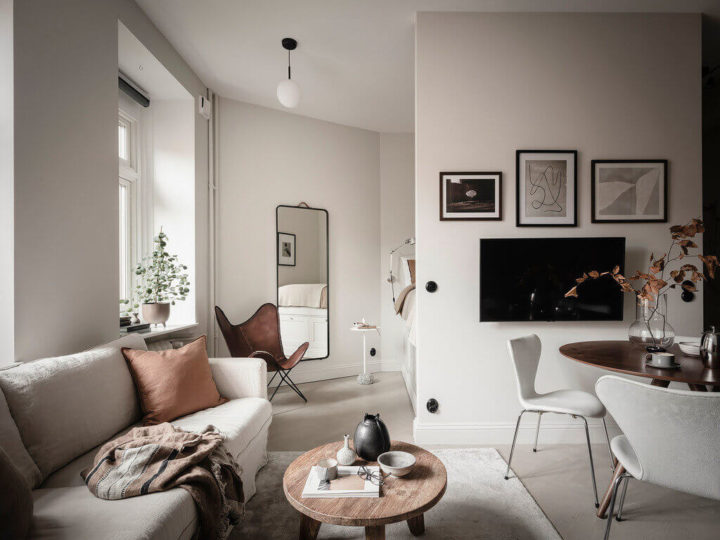 small-Scandinavian-Studio-Apartment-5