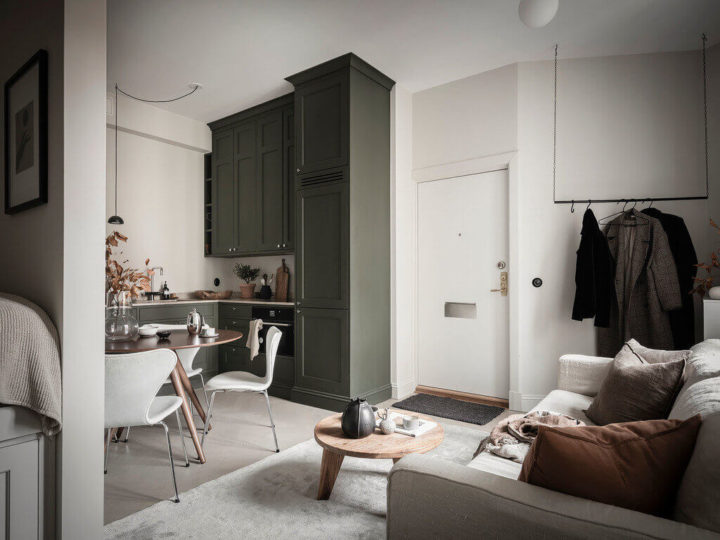 small-Scandinavian-Studio-Apartment-9