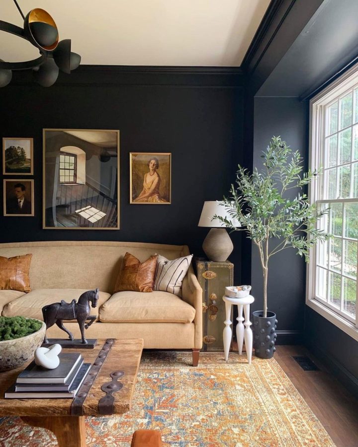 6 Best Dark Dramatic Living Room Ideas Decoholic - Dark Painted Walls Ideas