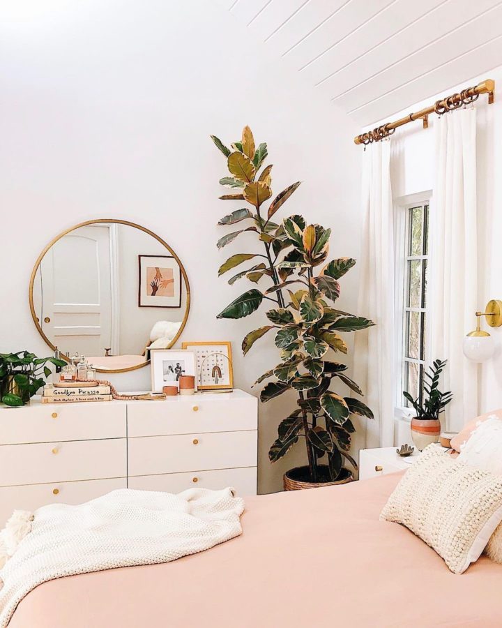The 9 Best Plants for Your Bedroom