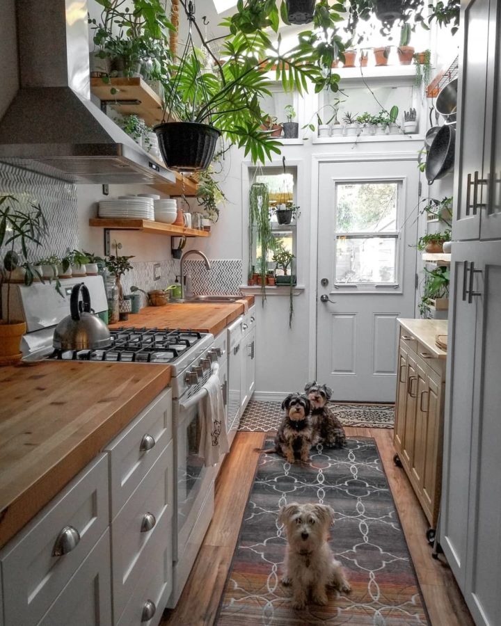 white modern country kitchen with wood counter wood open shelves and many indoor plants