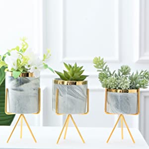 Marble with gold decorating Flowerpots