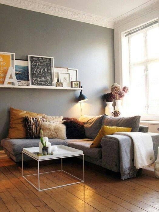 grey-couch-living-room-idea-10