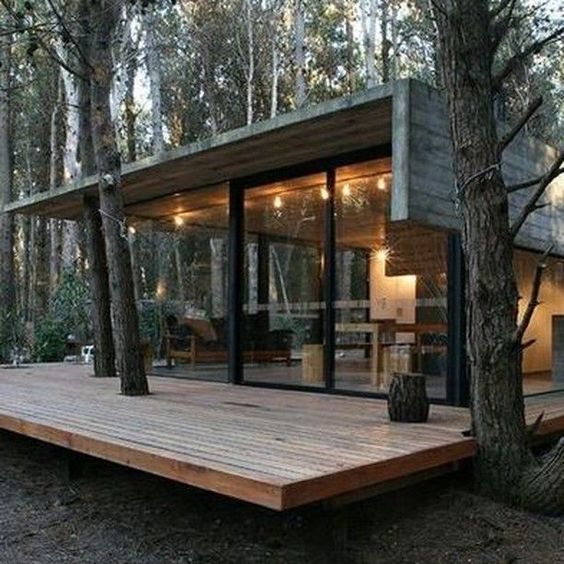 container-home-in-the-forest
