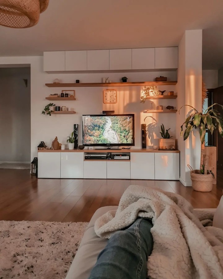 living room  wall-mounted shelves and TV storage unit
