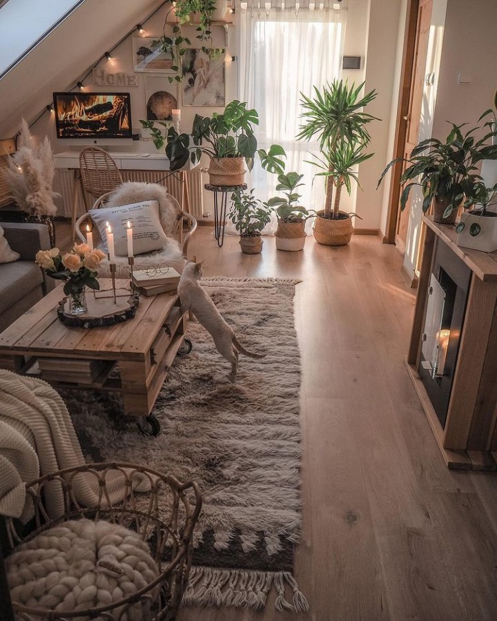 how-to-arrange-plants-in-living-room-1