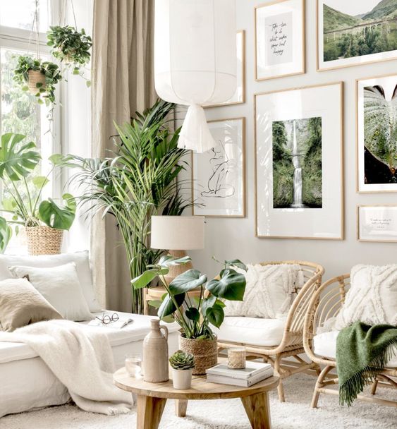 how-to-arrange-plants-in-living-room-11