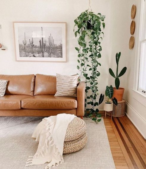 how-to-arrange-plants-in-living-room-14