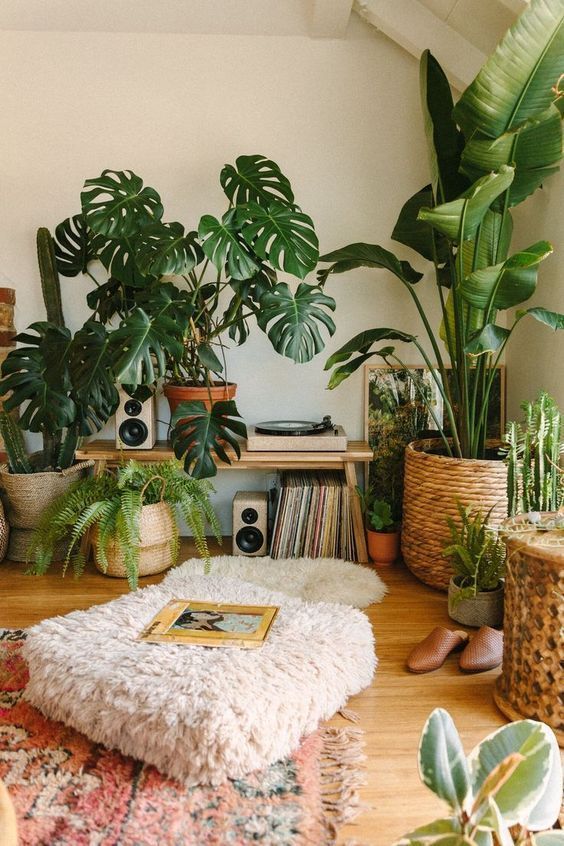 how-to-arrange-plants-in-living-room-15