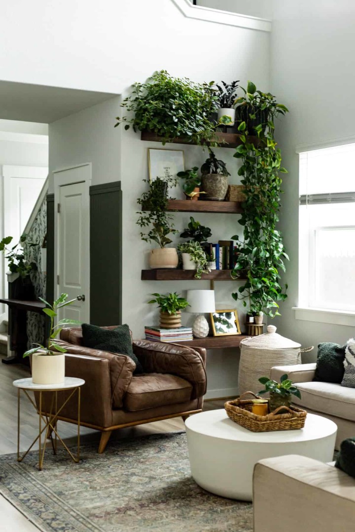 how-to-arrange-plants-in-living-room-2