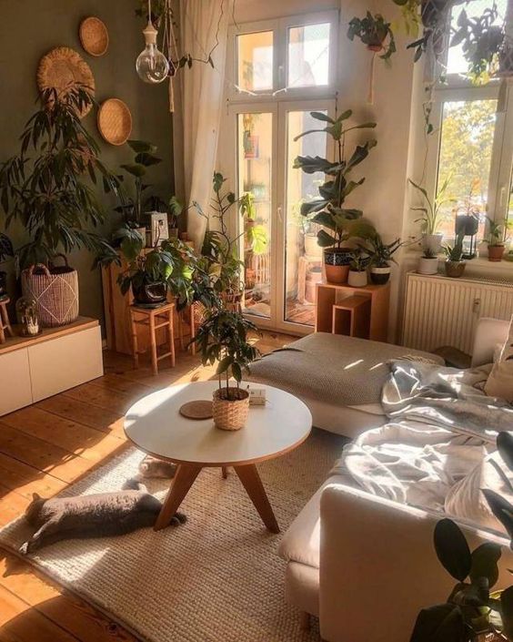 how-to-arrange-plants-in-living-room-7