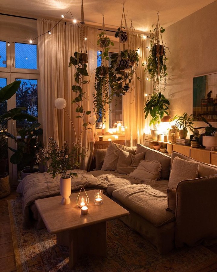 cozy modern living room with hanging indoor plants