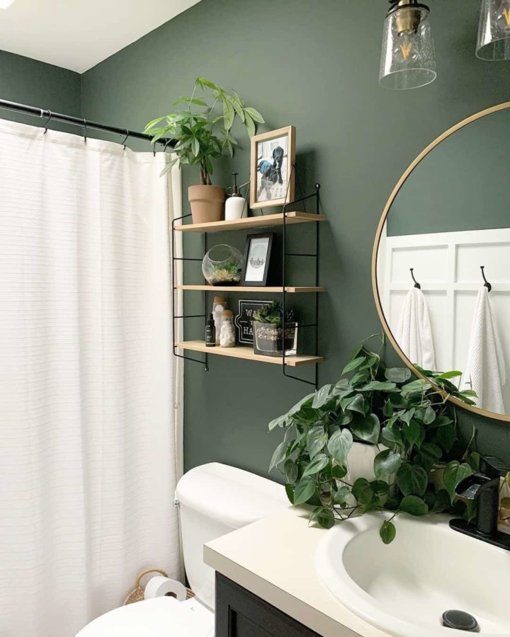 dark green bathroom with over the toilet shelves