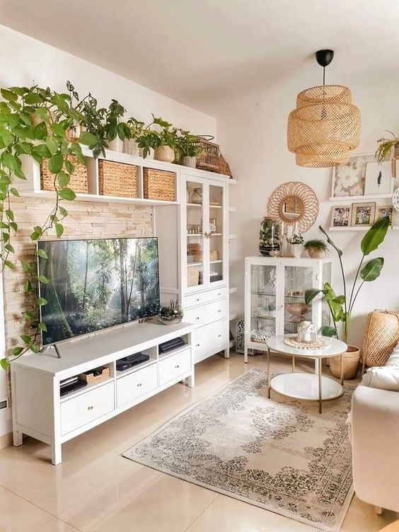small-living-room-with-TV-and-potted-indoor-plants