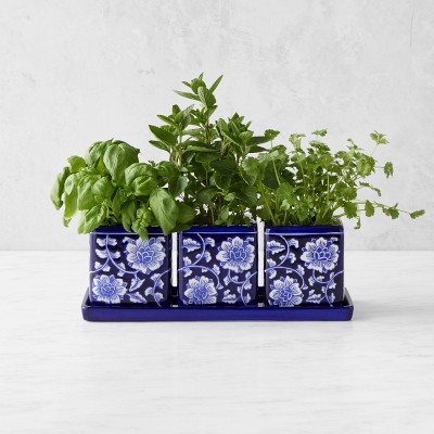 Blue & White Ceramic Herb Tray