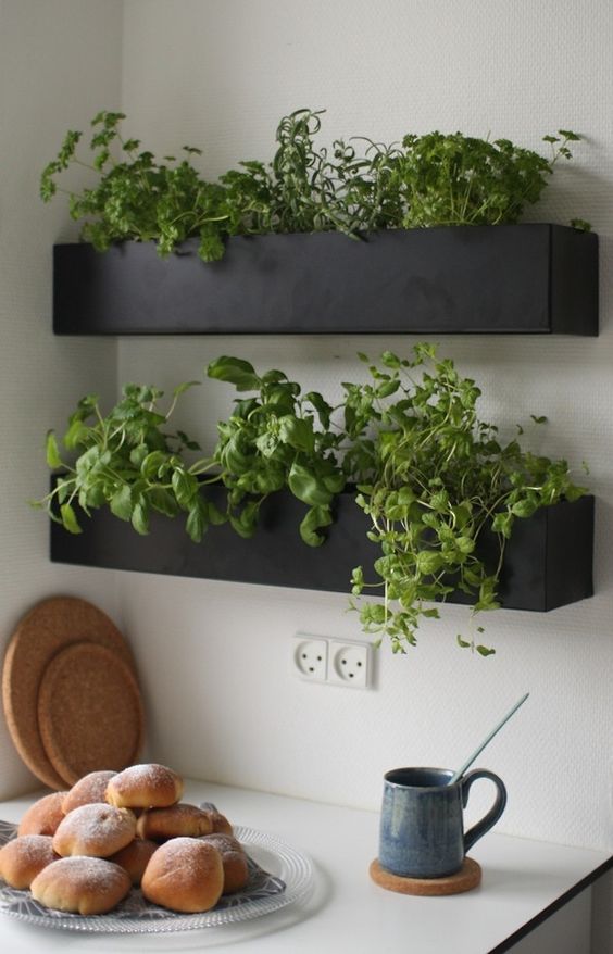 decorating-with-herbs-5-1