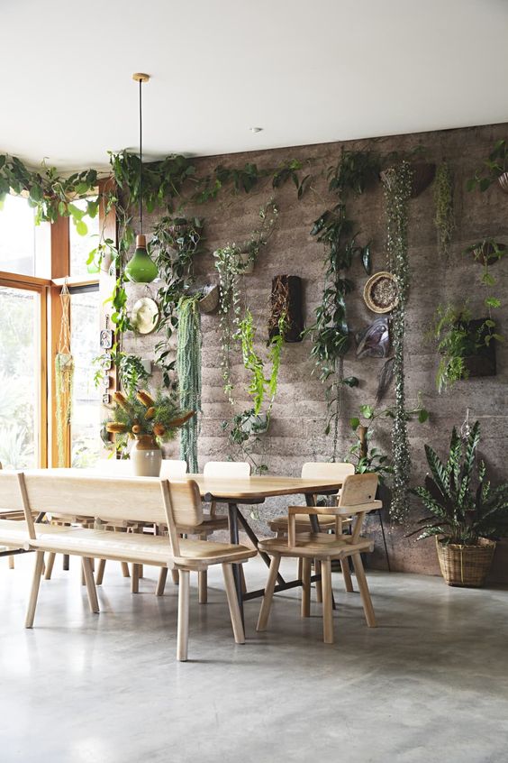 modern bohemian dininf room with houseplants
