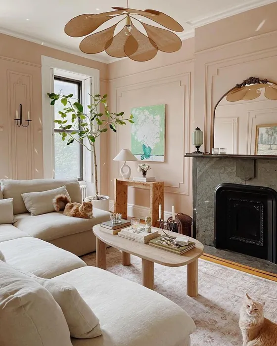 The Magic of Blush Pink Wall Paint Color