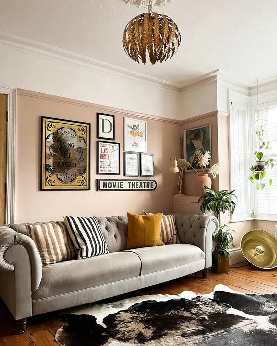 blush-pink-wall-color-3