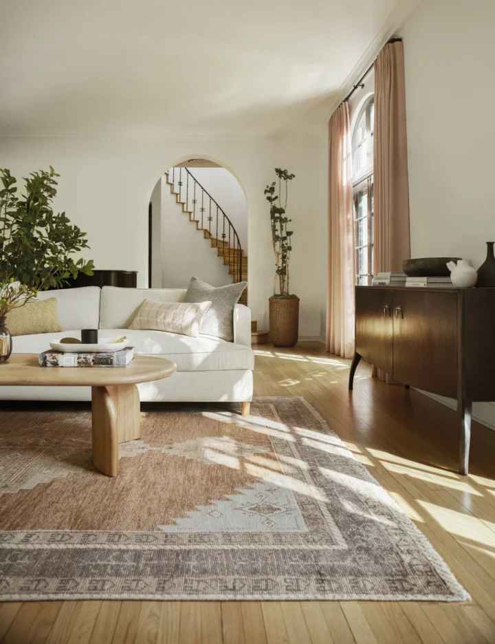 living room with geometric rug