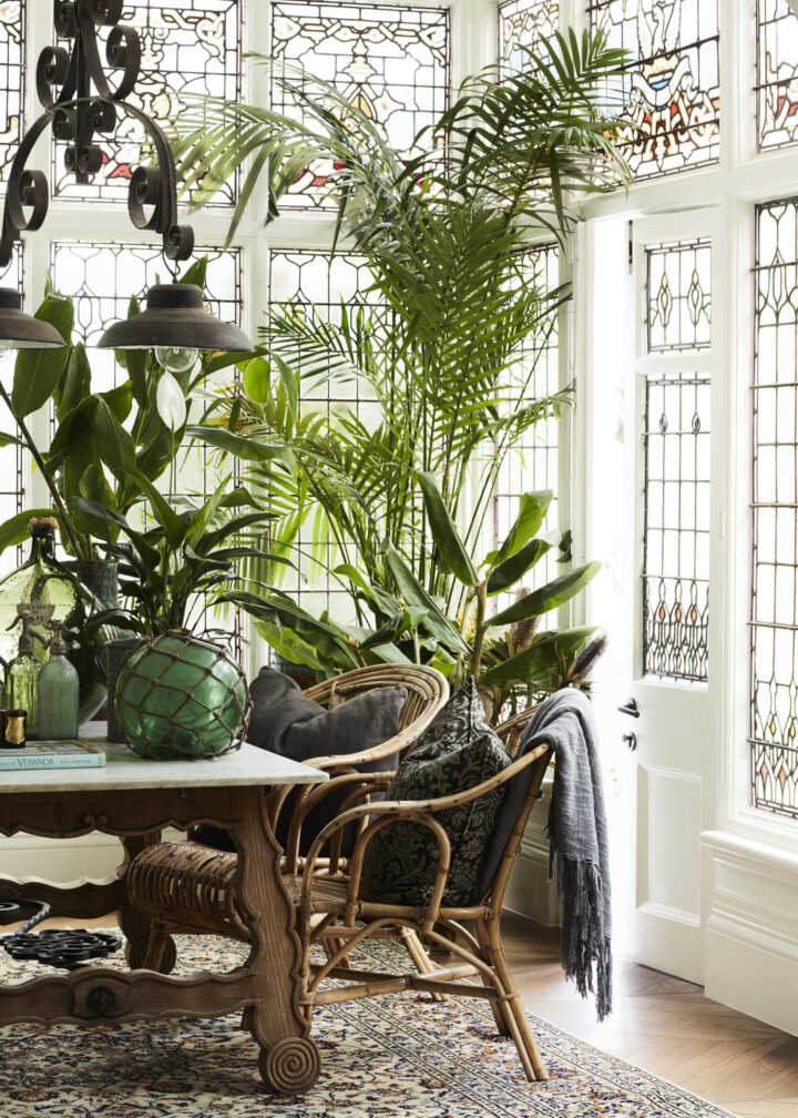 eclectic dining room with indoor plants by Hancock Architects