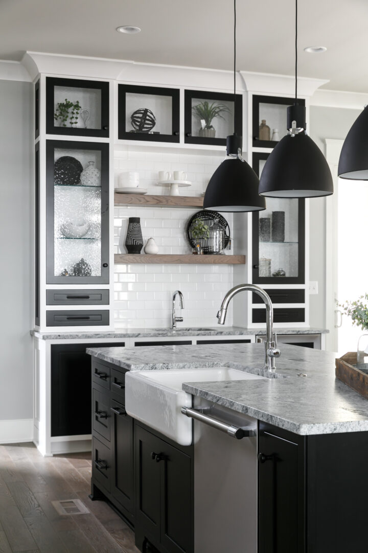 modern black and white kitchen with fr