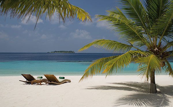 paradise hotel Coco Palm Bodu Hithi Maldives 15